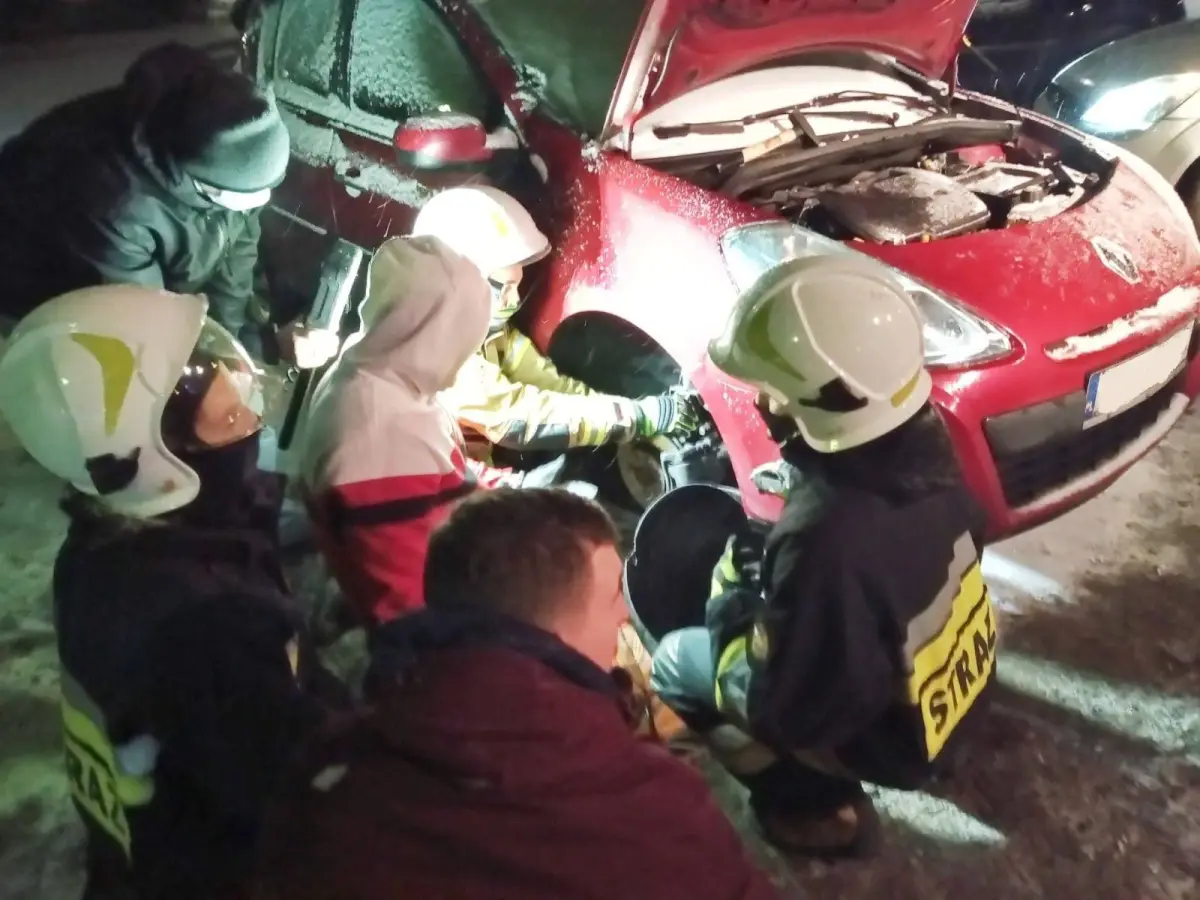 Akcja strażaków w Trzebieniu