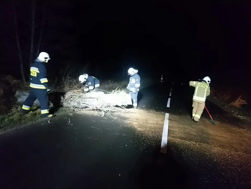 Операція пожежної служби між Wierzbowa та Gromadka