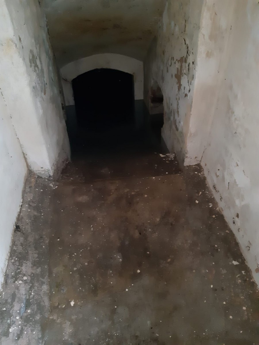 Akcja straży pożarnej w miejscowości Osła