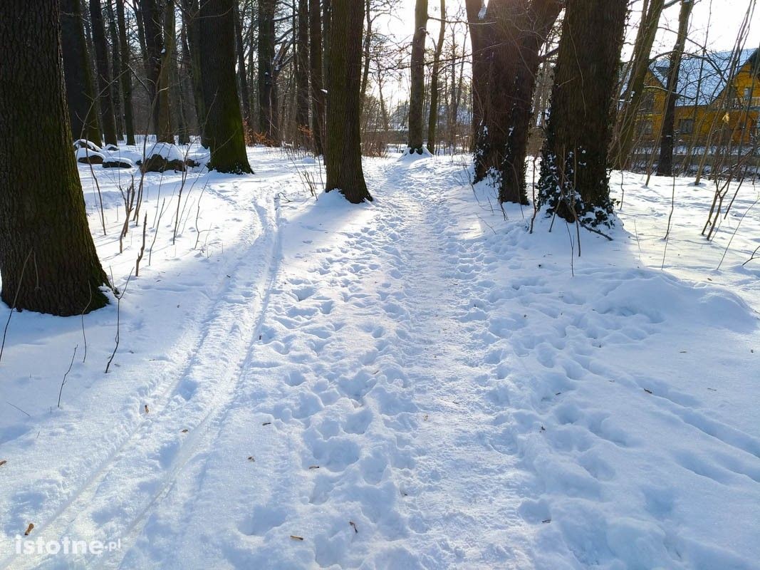 Piękna zima w Bolesławcu