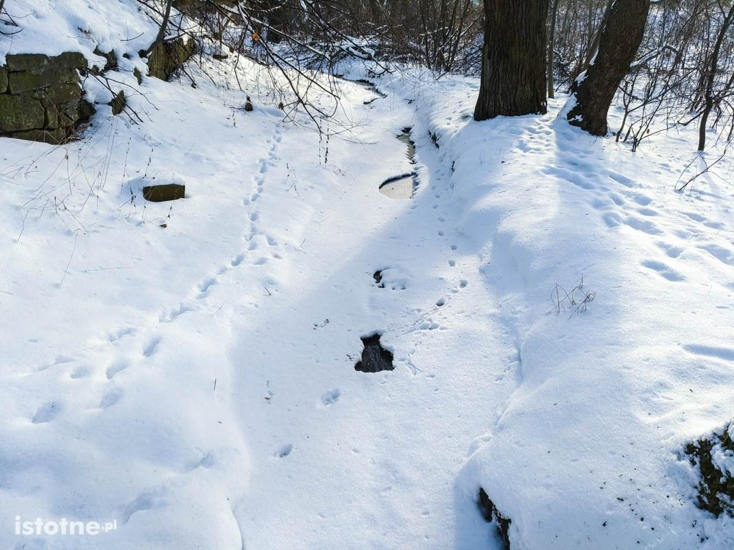 Piękna zima w Bolesławcu