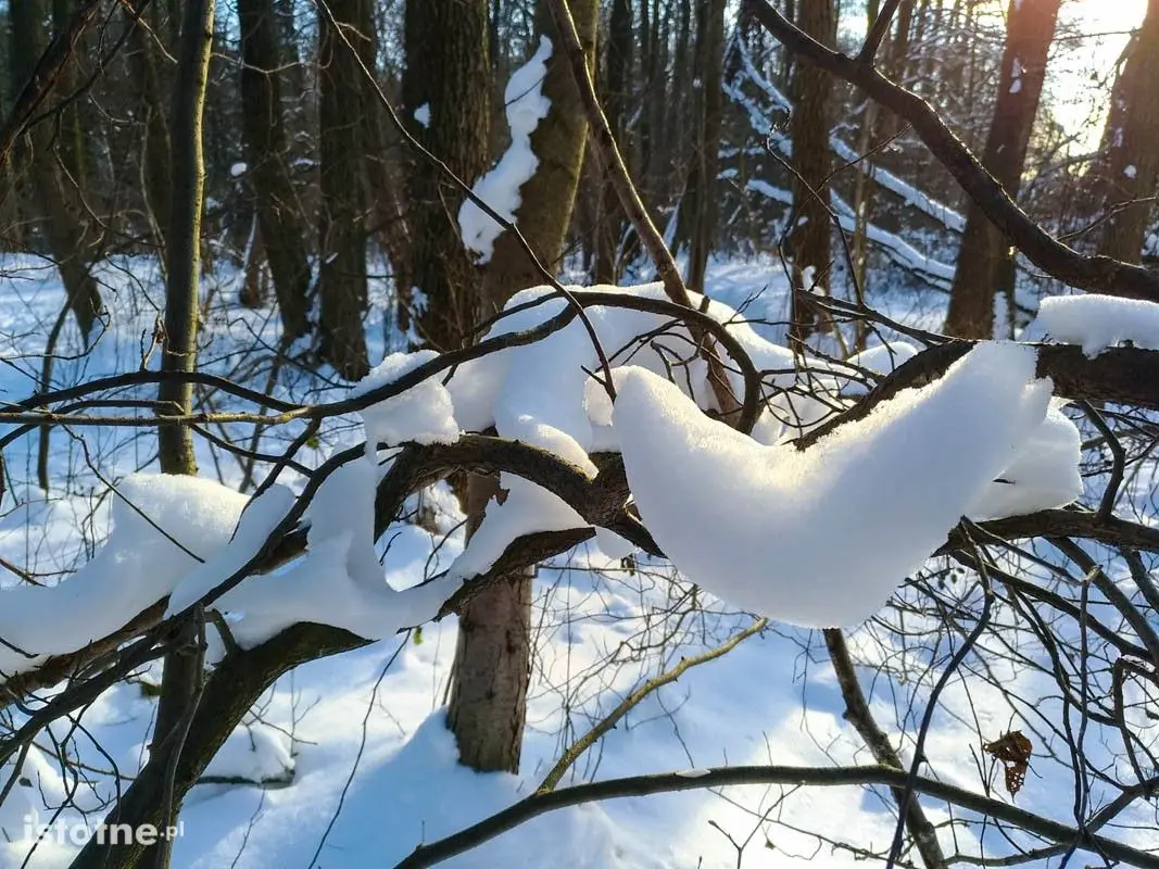 Piękna zima w Bolesławcu