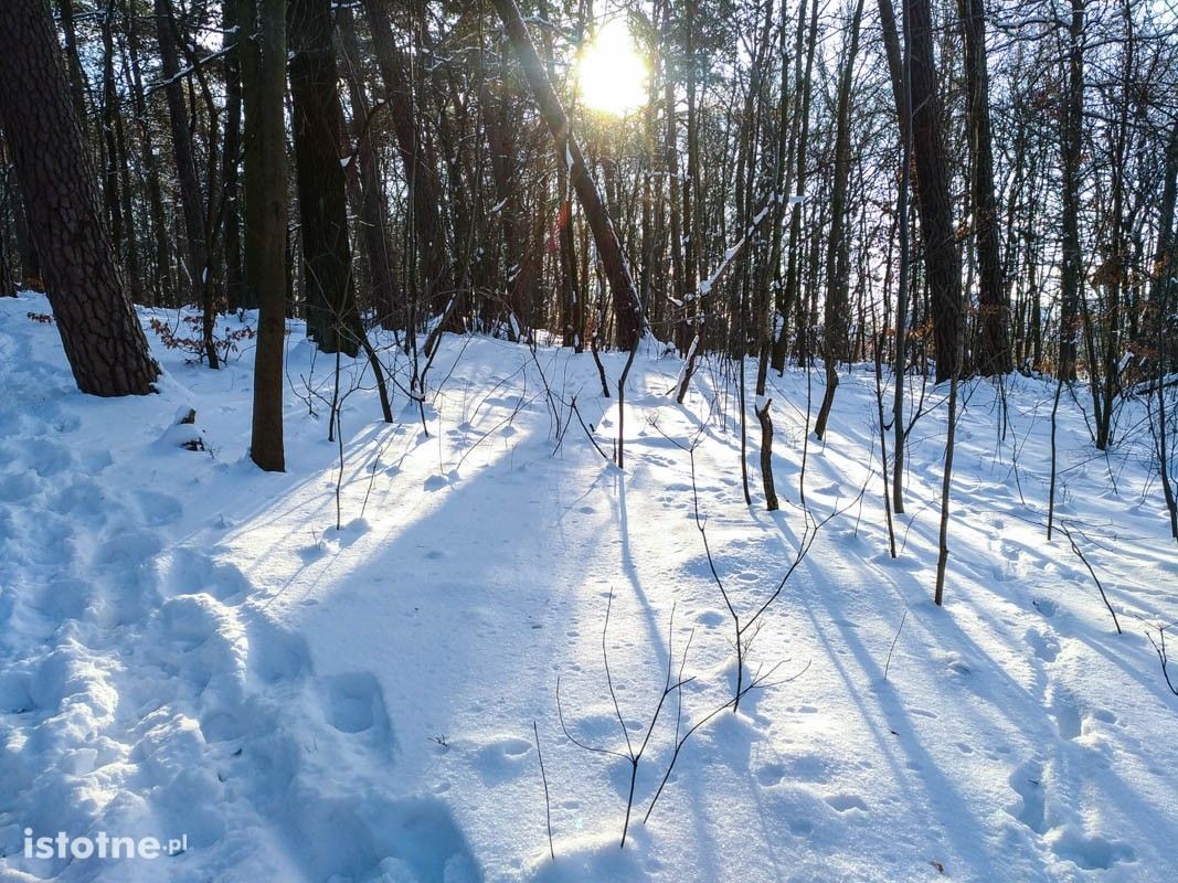 Piękna zima w Bolesławcu
