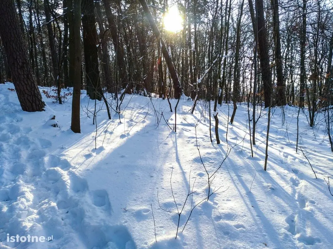 Piękna zima w Bolesławcu