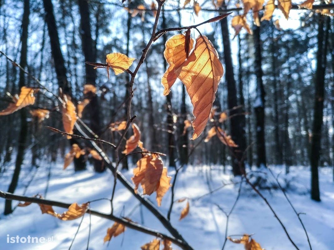 Piękna zima w Bolesławcu