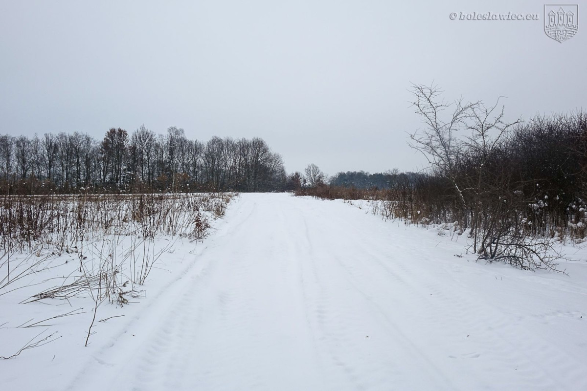 Ul. Sosnowa w Bolesławcu