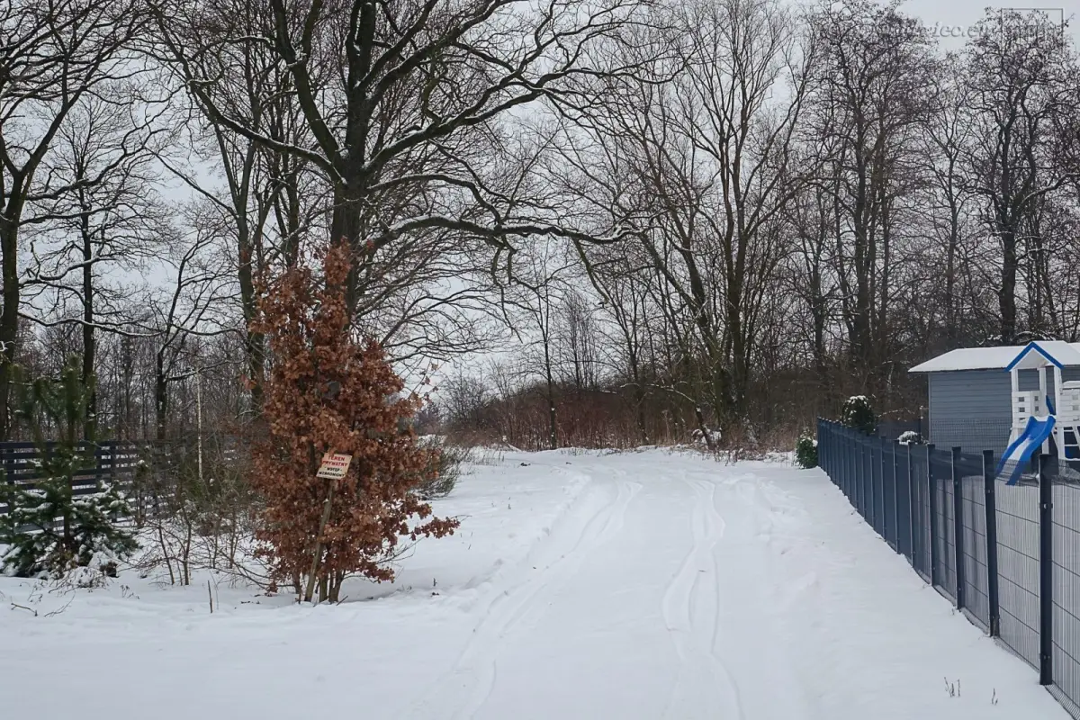 Ul. Sosnowa w Bolesławcu