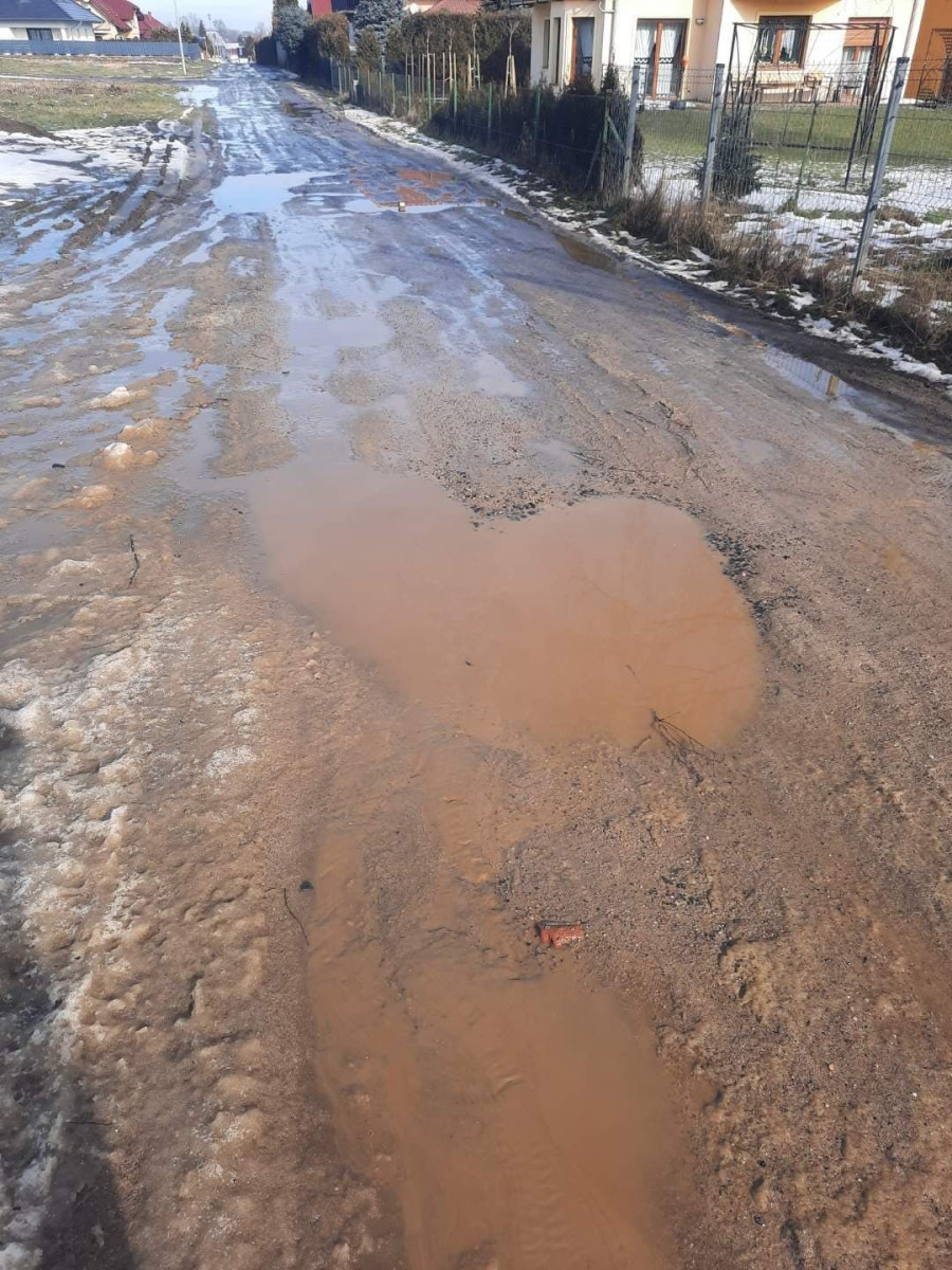Droga dojazdowa do domków w Bolesławicach