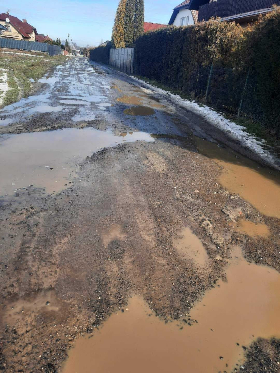 Droga dojazdowa do domków w Bolesławicach