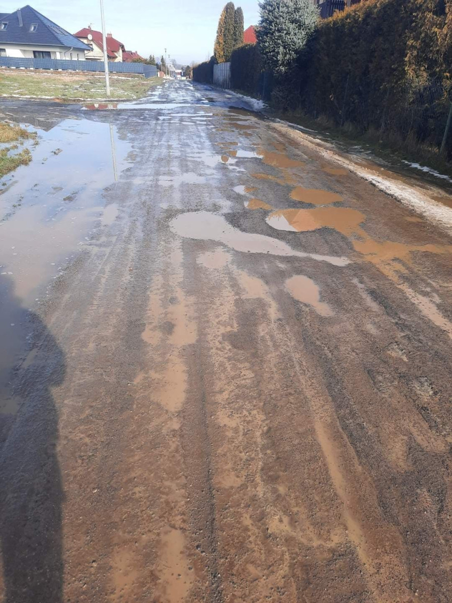 Droga dojazdowa do domków w Bolesławicach