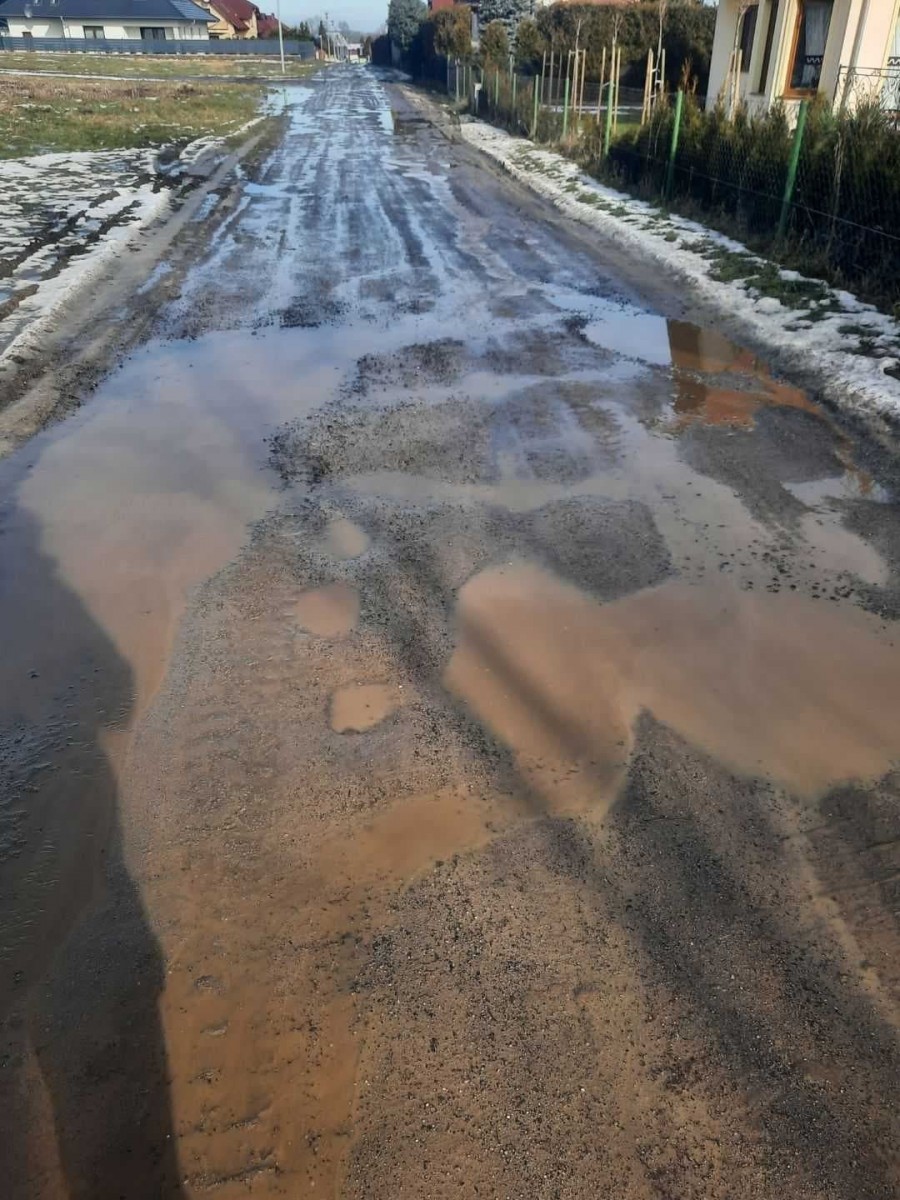 Droga dojazdowa do domków w Bolesławicach