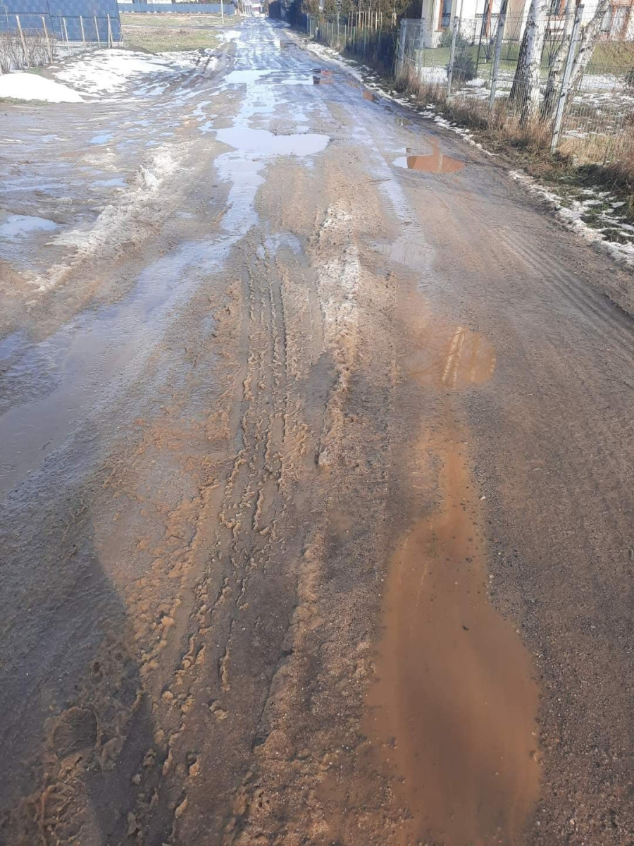 Droga dojazdowa do domków w Bolesławicach