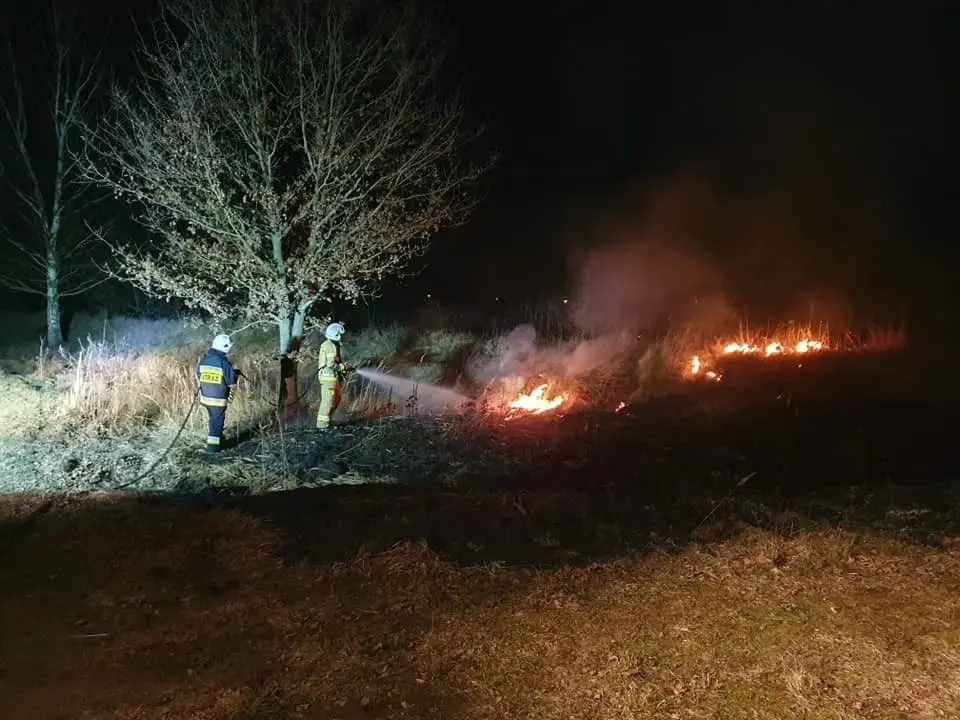 Akcja straży pożarnej w Parkoszowie