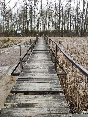 Ogródek dendrologiczny „Uroczysko Piekiełko” w 2021 roku