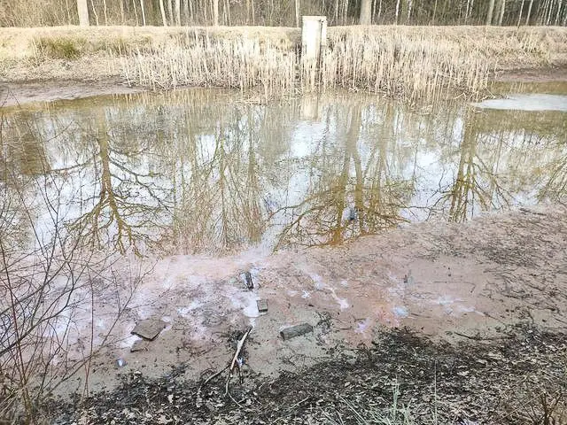 Ogródek dendrologiczny „Uroczysko Piekiełko” w 2021 roku