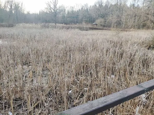 Ogródek dendrologiczny „Uroczysko Piekiełko” w 2021 roku