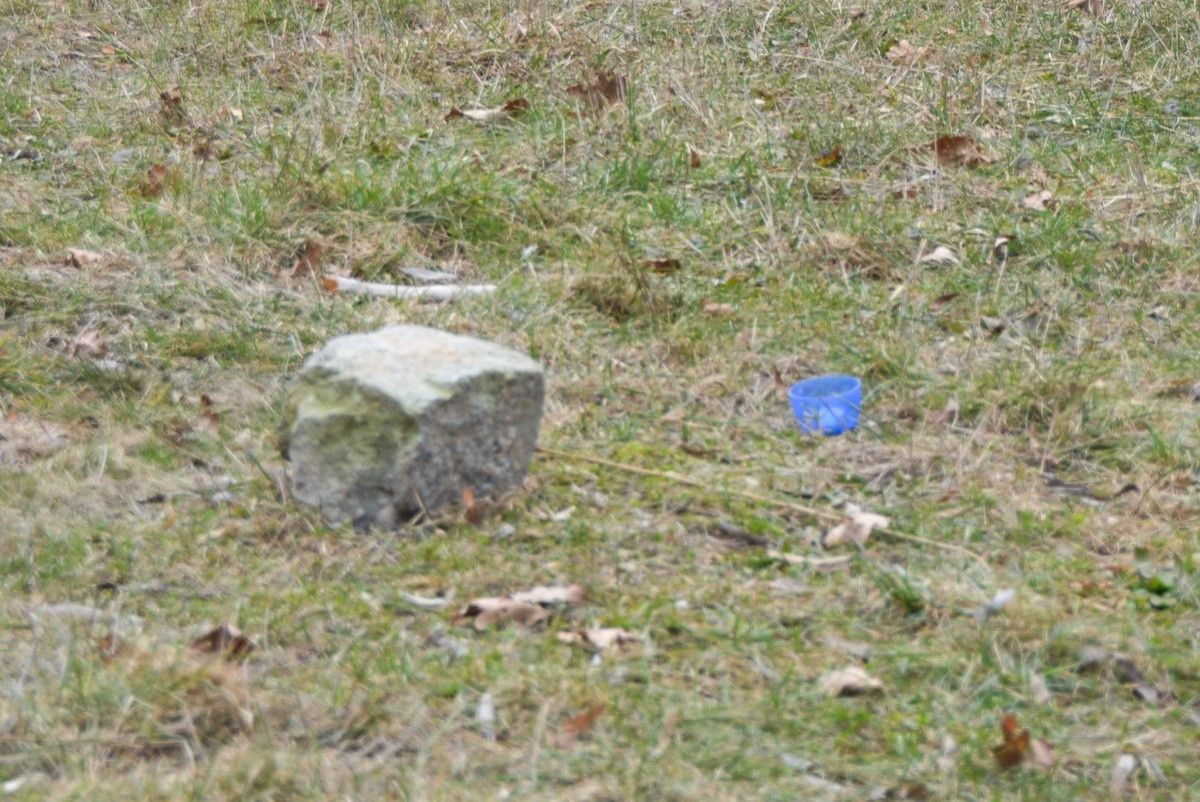 Plac zabaw przy al. Wojska Polskiego w Bolesławcu