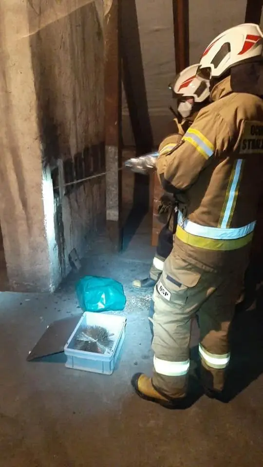 Рятувальна операція пожежної служби в Iwinach