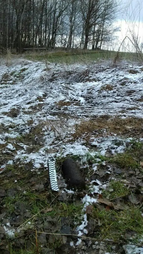Akcja Patrolu Saperskiego Bolesławiec w powiecie lubańskim