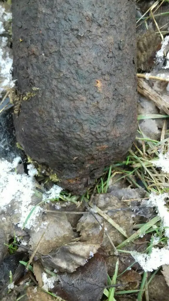 Akcja Patrolu Saperskiego Bolesławiec w powiecie lubańskim