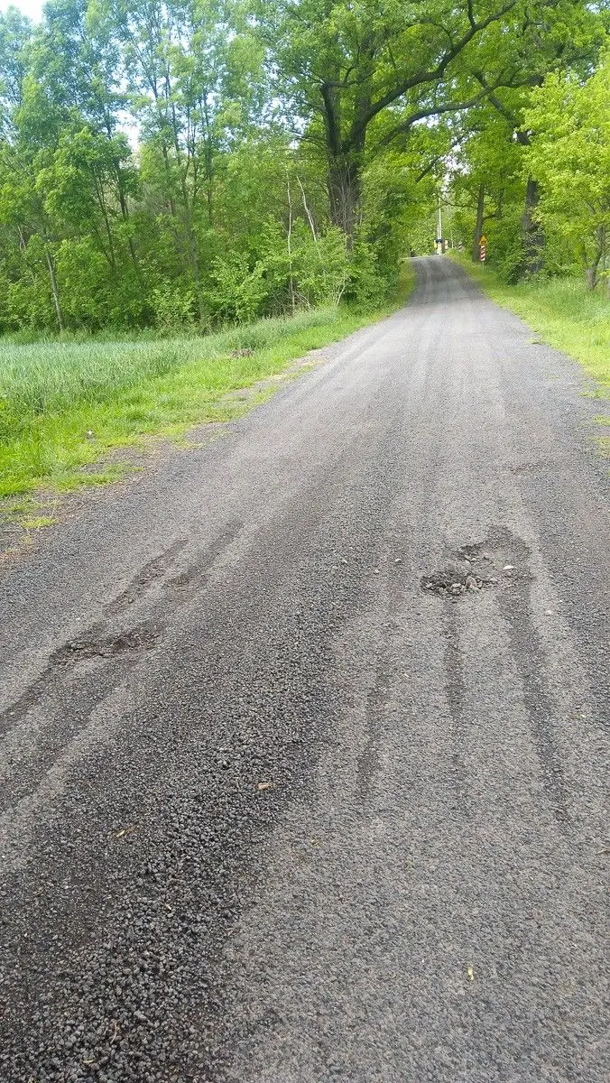 Droga między Kraśnikiem a Kruszynem