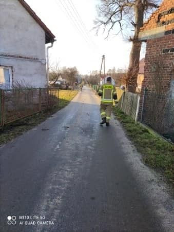 Akcja roznoszenia ulotek