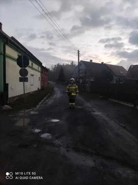 Akcja roznoszenia ulotek