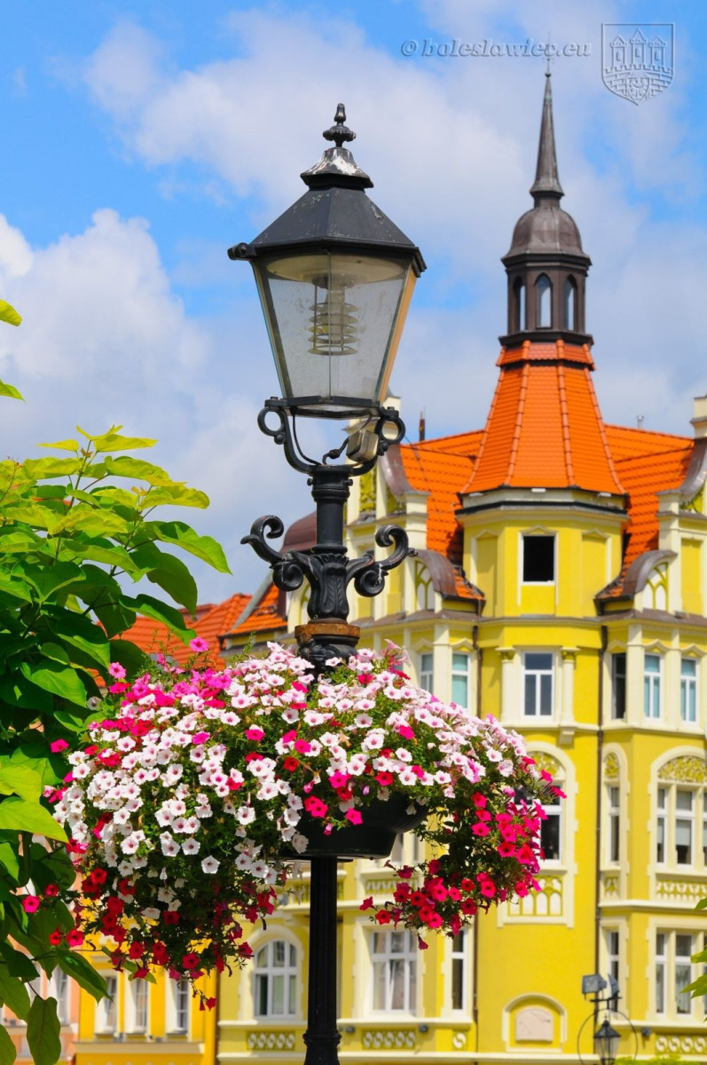 Bolesławiec w kwiatach