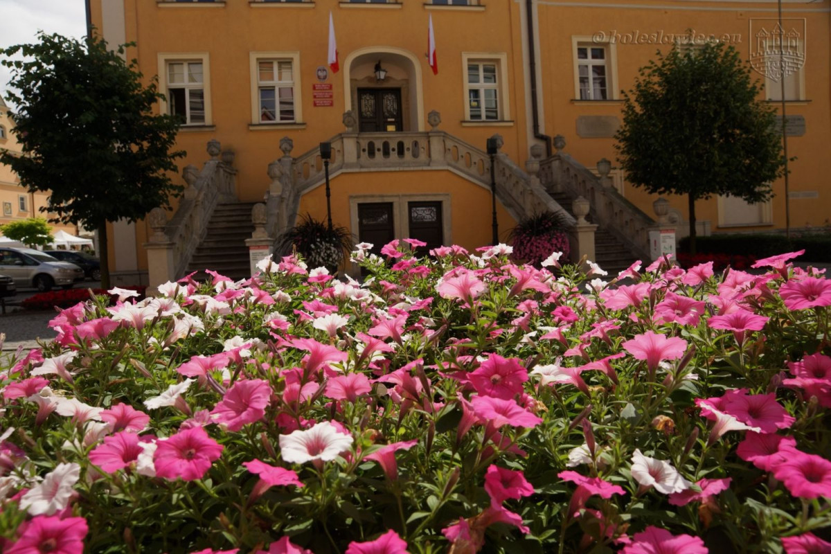 Bolesławiec w kwiatach
