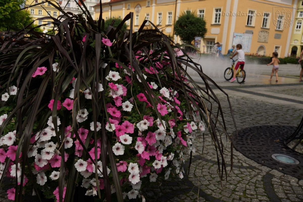 Bolesławiec w kwiatach