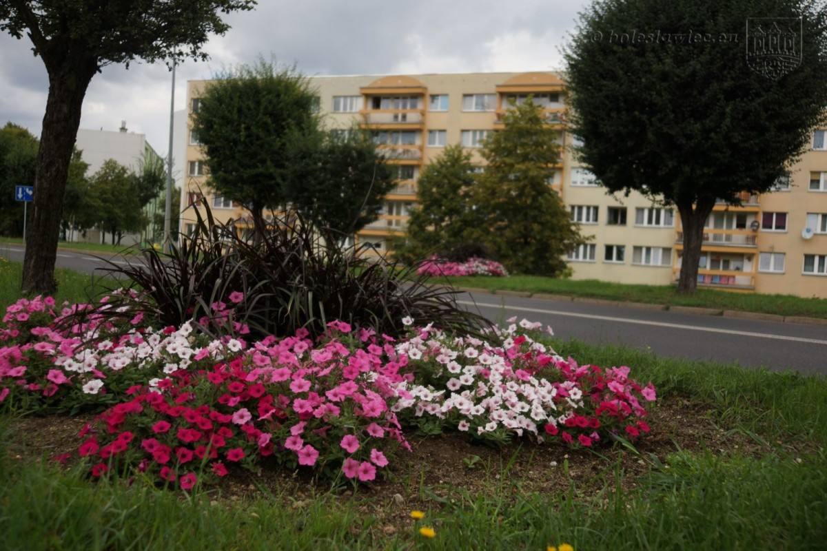 Bolesławiec w kwiatach