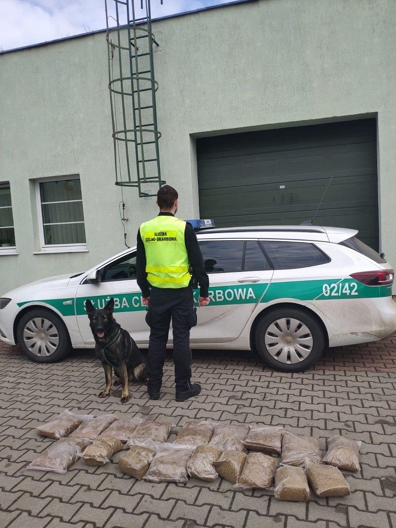 Działania KAS i Straży Granicznej