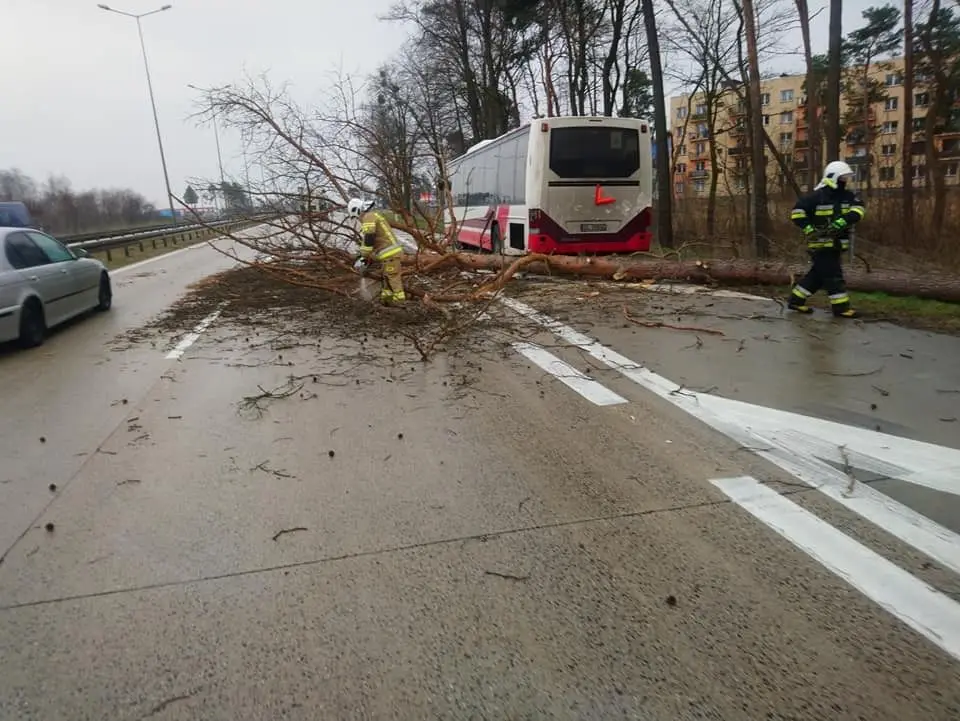 Akcja straży pożarnej na A4