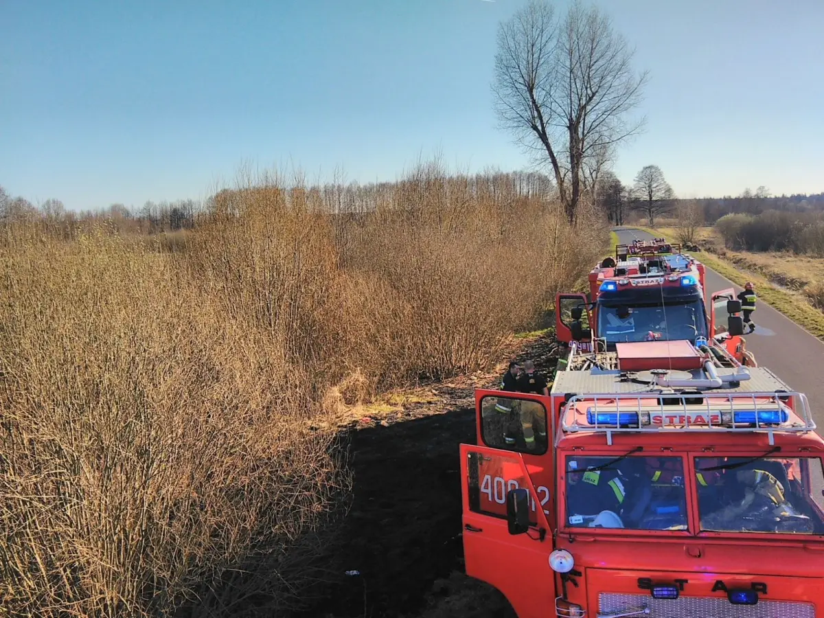 Pożar nieużytków koło Wierzbowej