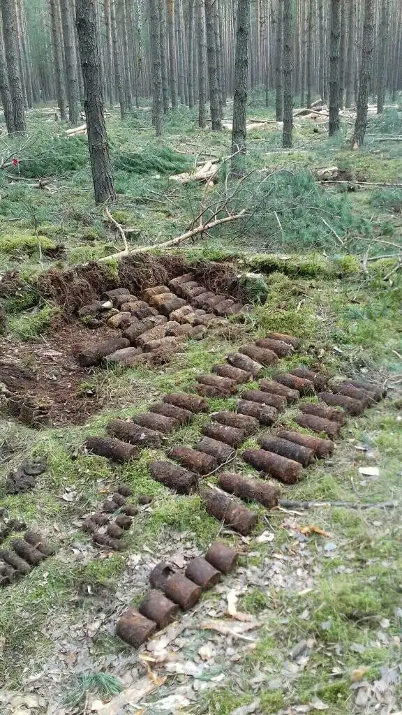 Działania saperów w Lubuskiem