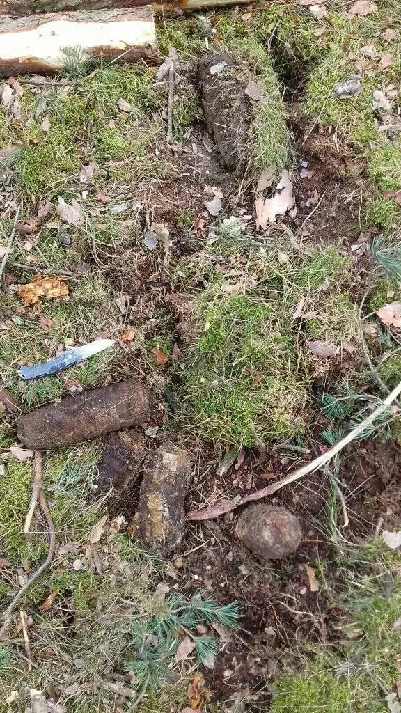 Działania saperów w Lubuskiem
