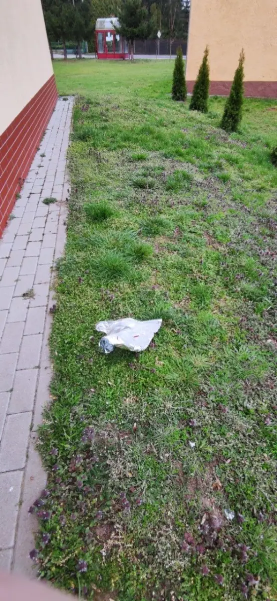 Śmieci między cmentarzem a świetlicą w Zebrzydowej
