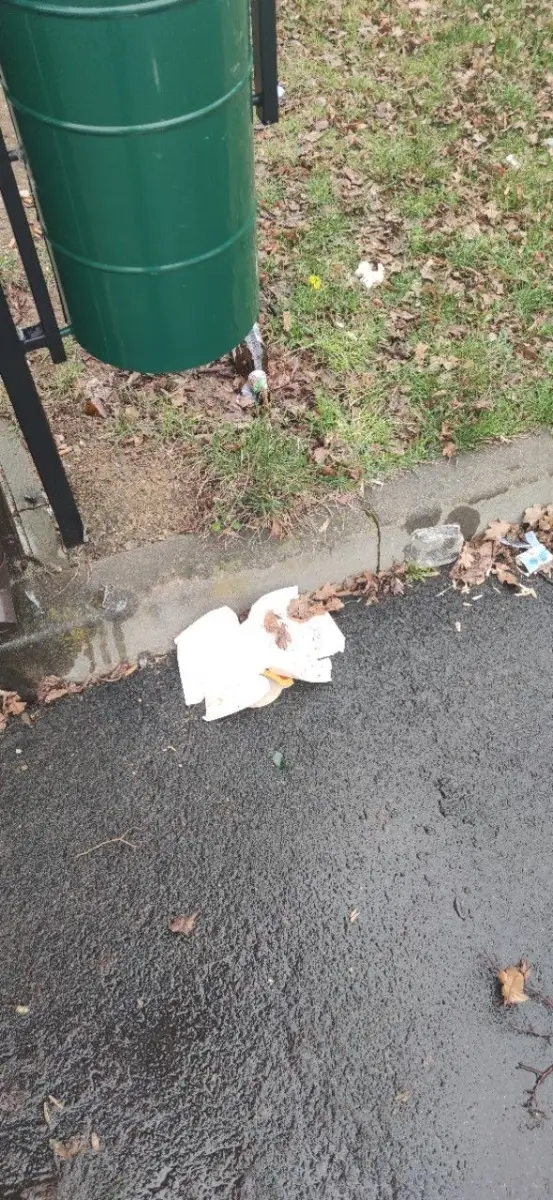 Śmieci między cmentarzem a świetlicą w Zebrzydowej