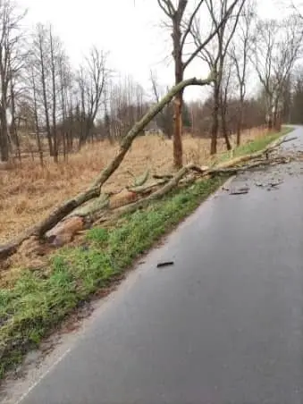 Działania straży pożarnej w gminie Gromadka