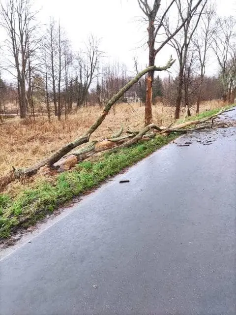 Działania straży pożarnej w gminie Gromadka
