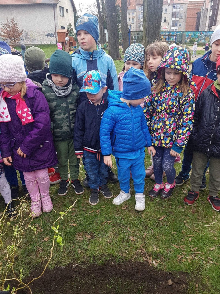 Przedszkolaki z MPP nr 2 w Bolesławcu uczą się, jak żyć ekologicznie