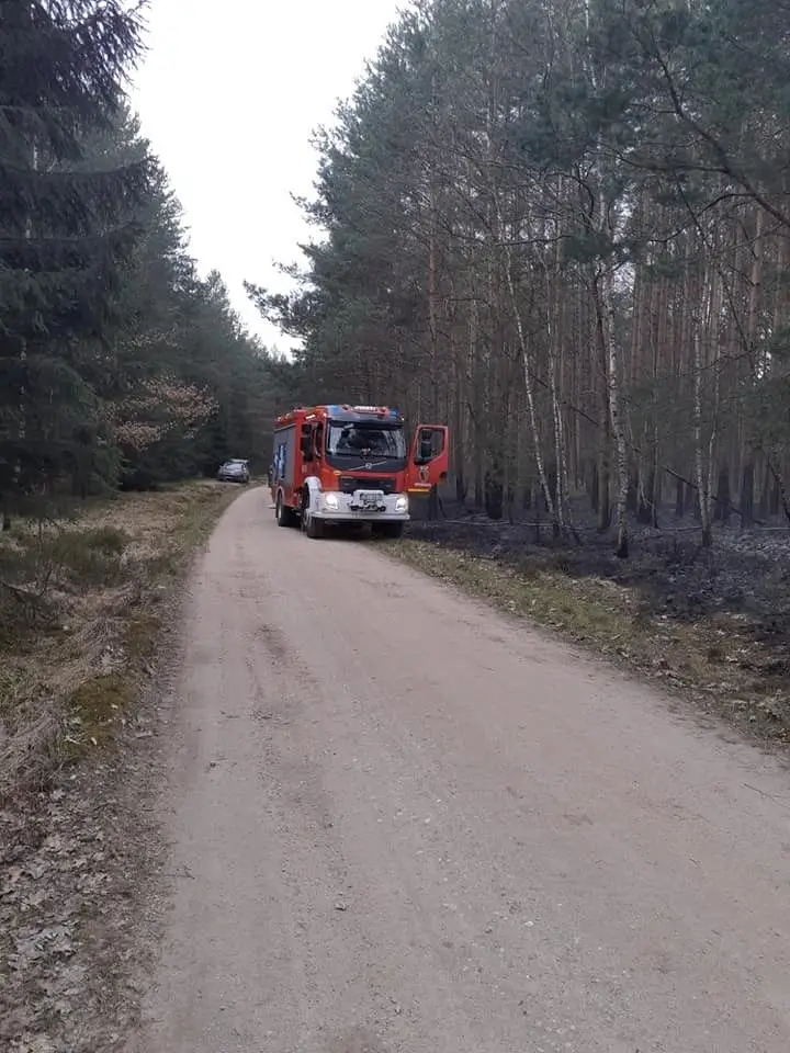 Pożar w lesie koło Wierzbowej