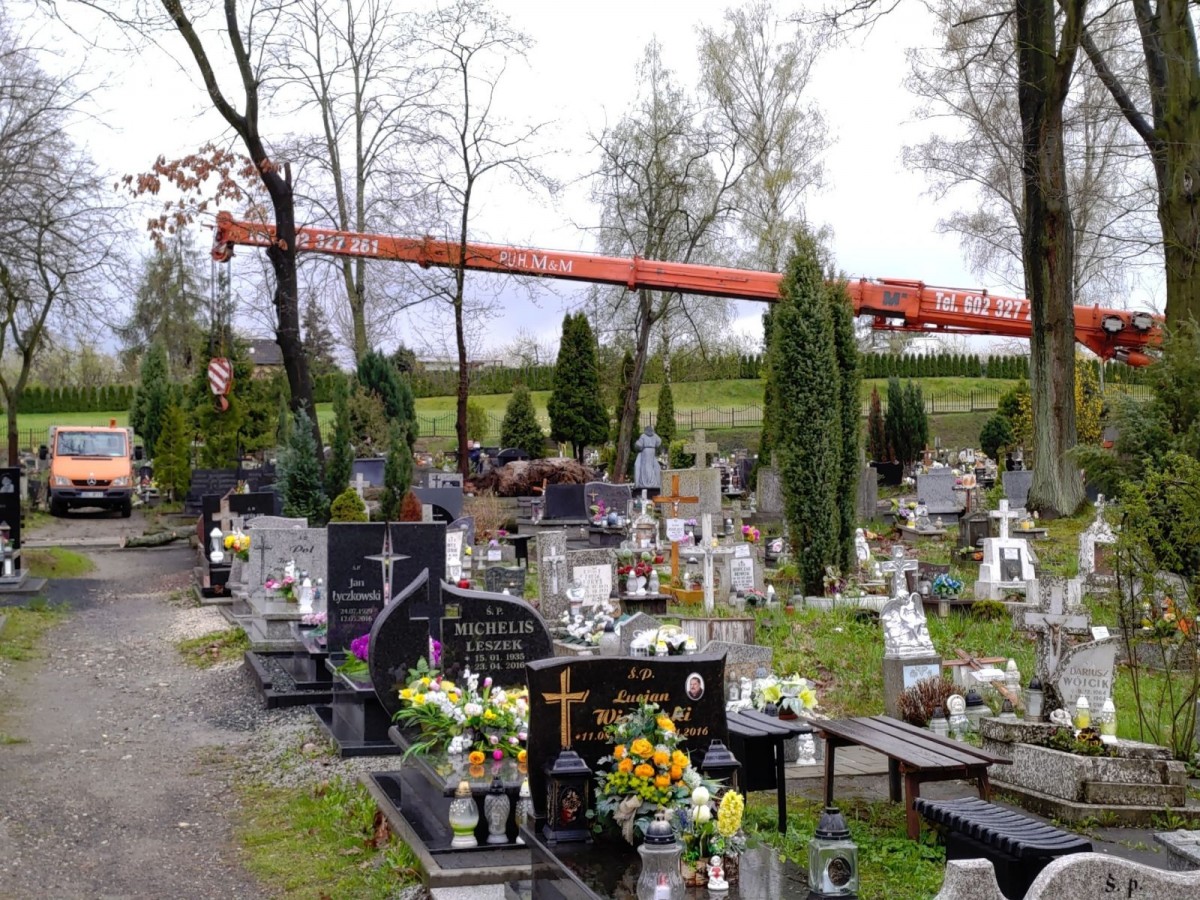 Usuwanie powalonego drzewa na cmentarzu