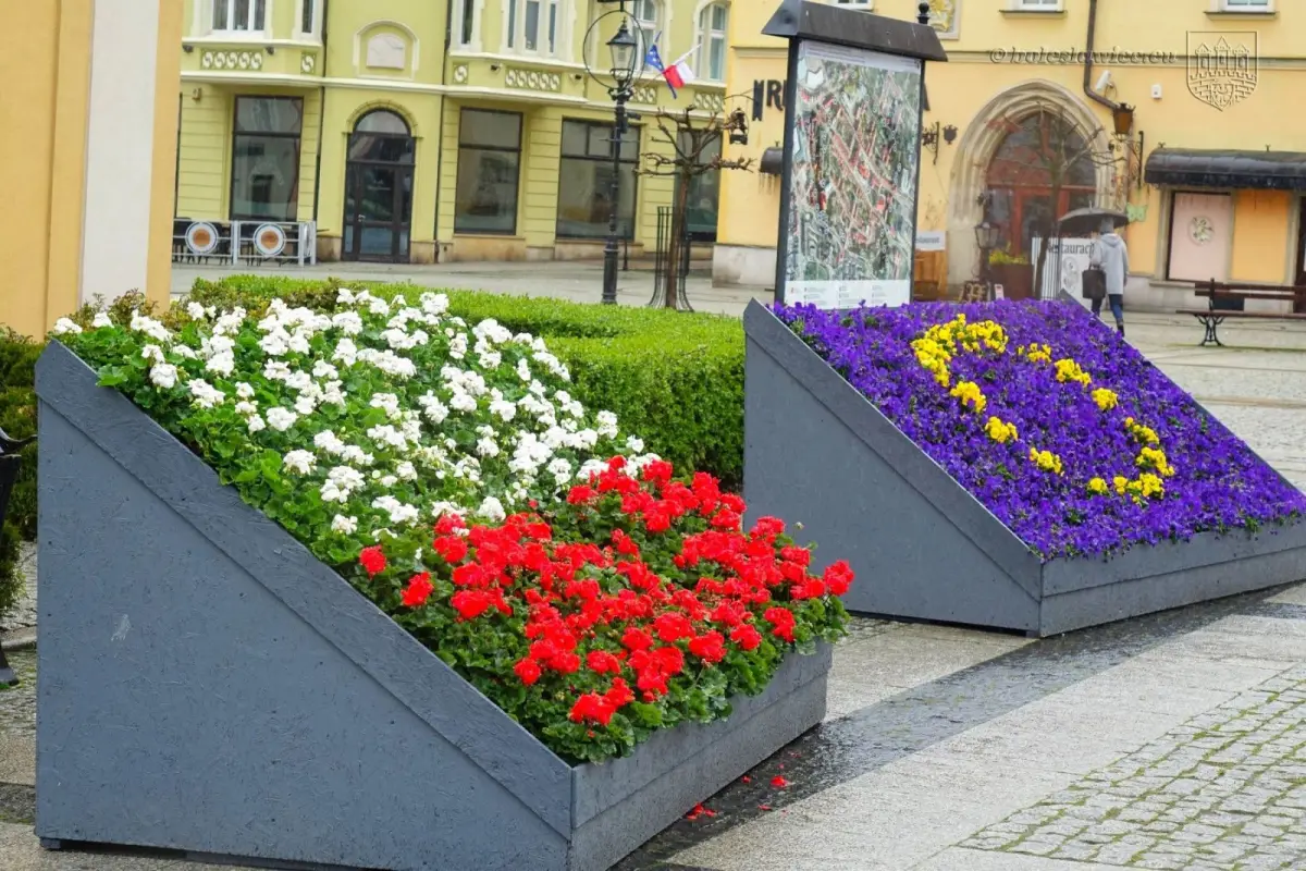 День прапора на ринку Bolesławiec
