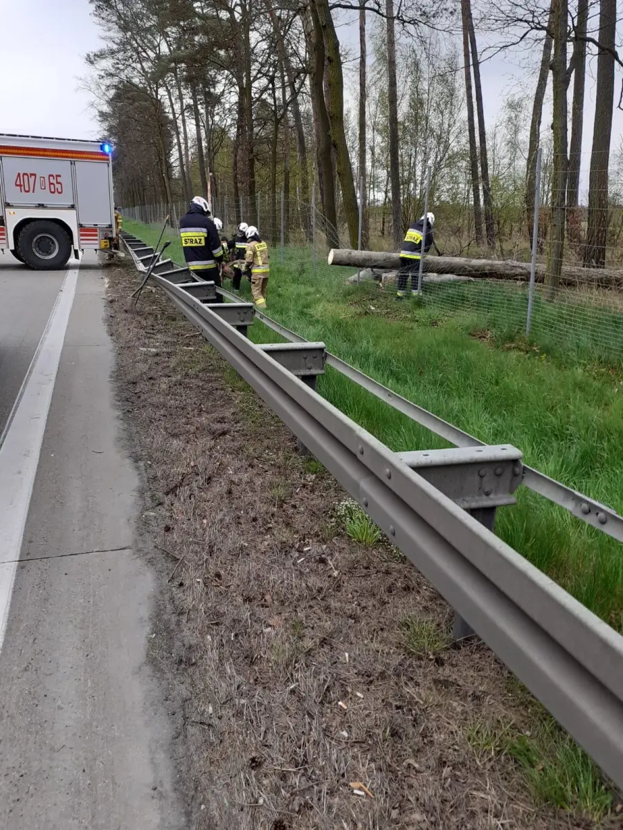 Akcja służb na A4