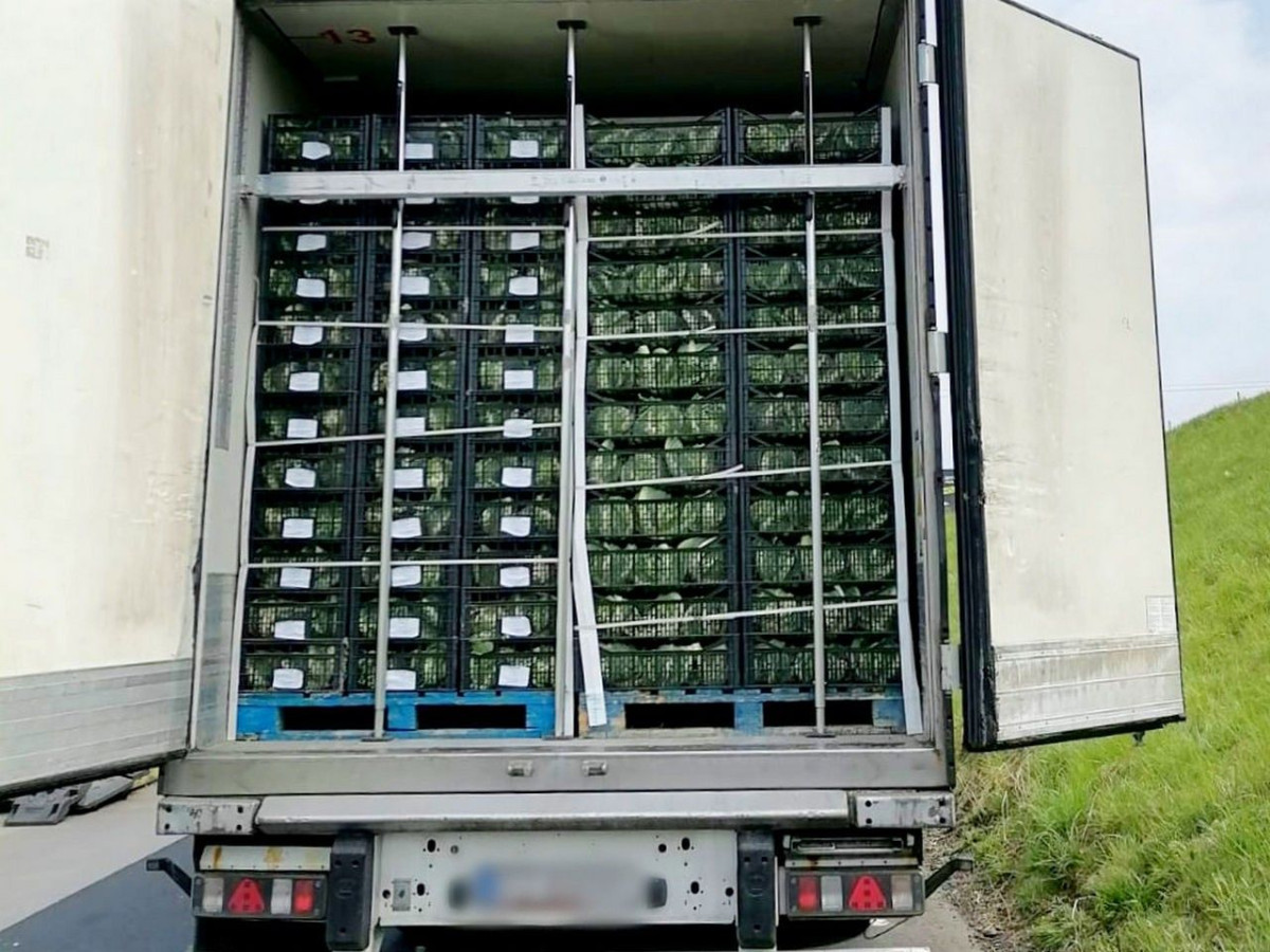 Marihuana przechwycona przez służby