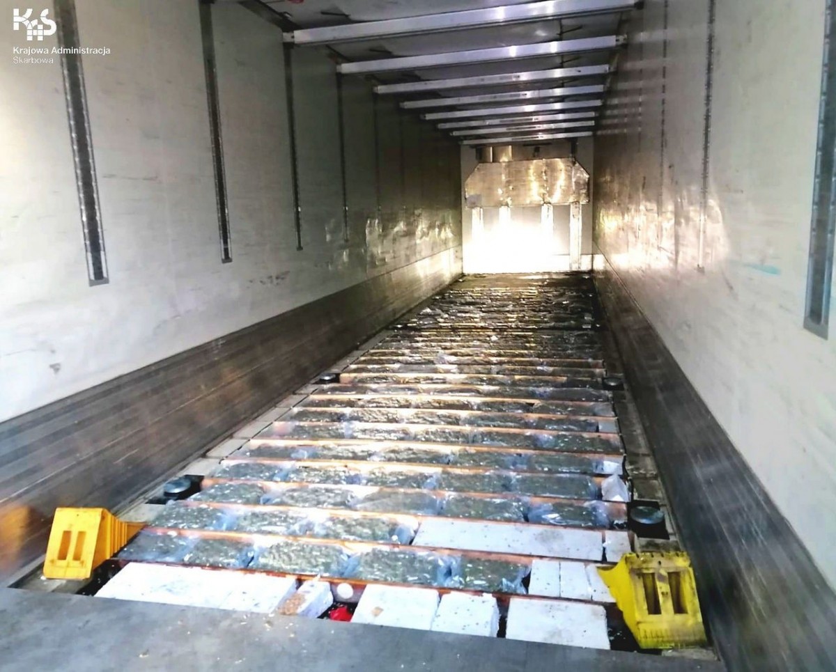 Marihuana przechwycona przez służby