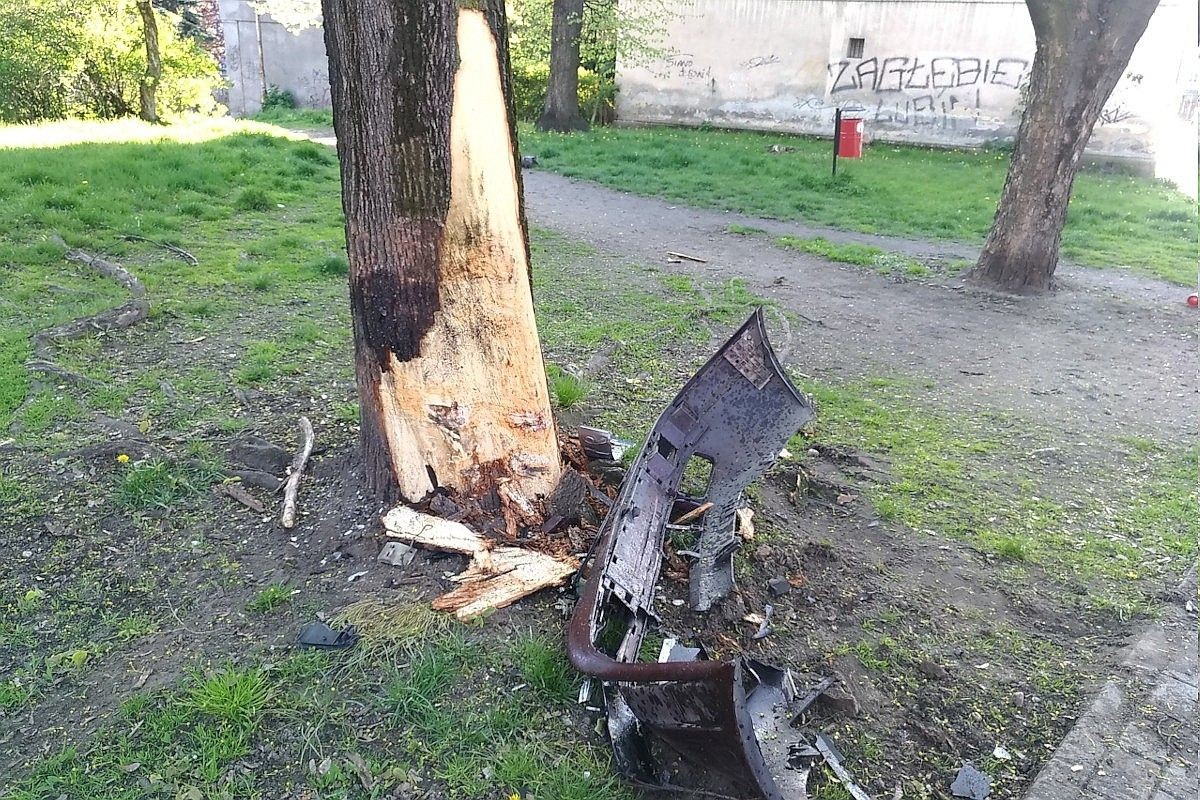 Samochód Audi uderzył w drzewo