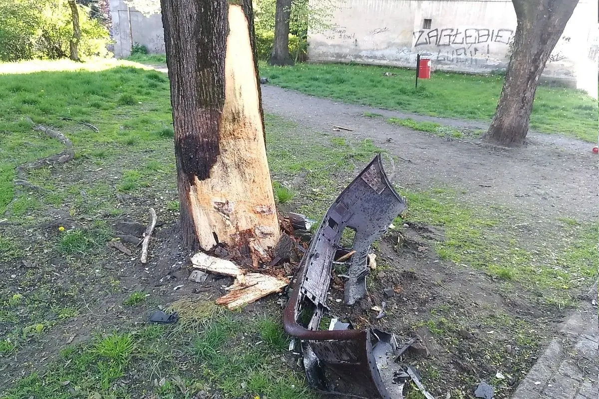 Samochód Audi uderzył w drzewo
