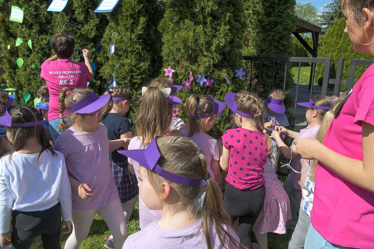 Tydzień Optymisty w MPP nr 3